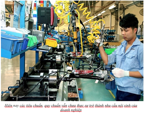 Để tiêu chuẩn, quy chuẩn trở thành công cụ đắc lực